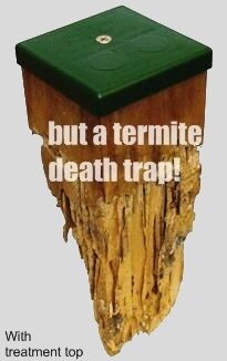 Kill Termites - Termites in walls - Termites in wood